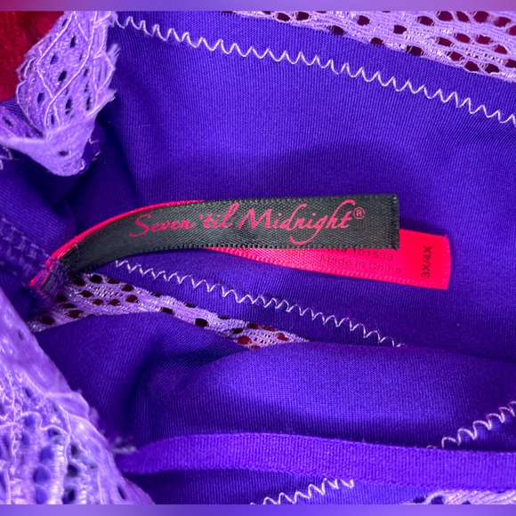 Seven ‘til Midnight Sexy Purple Panties Size 3X/4X - Picture 4 of 4
